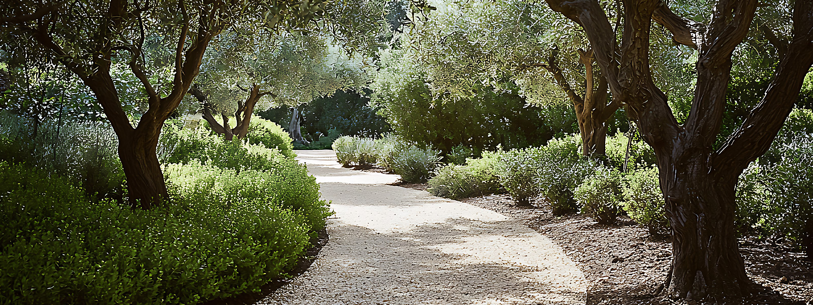 Création de jardins en Hérault