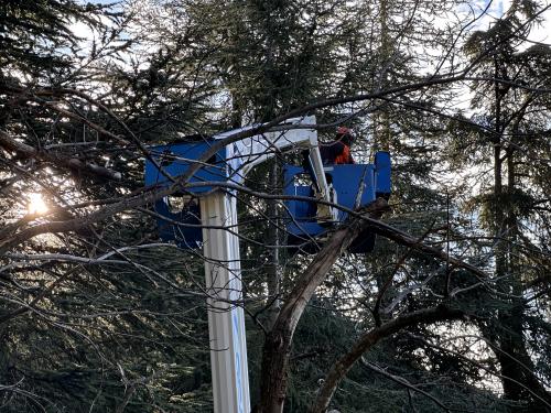 Élagage dans l’Hérault